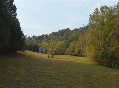 Riverfront Property For Sale At Auction Claiborne County Tn - image 13