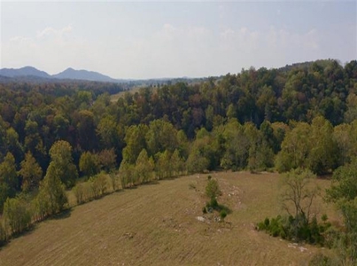 Riverfront Property For Sale At Auction Claiborne County Tn - image 18