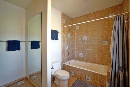 Solar Ranch Ridgway Colorado Mountain View Custom Home - image 19