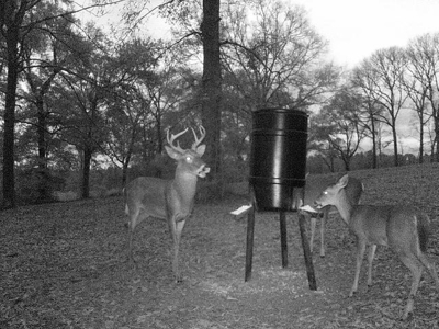 66 Acres Hwy 43 Hunting Land, Home Site for Sale South MS - image 7