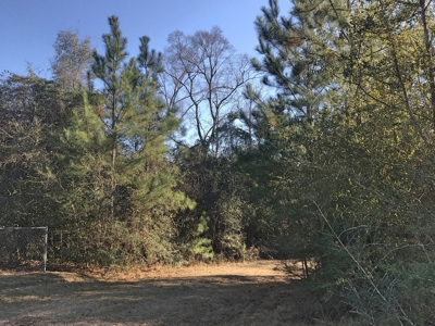 66 Acres Hwy 43 Hunting Land, Home Site for Sale South MS - image 23