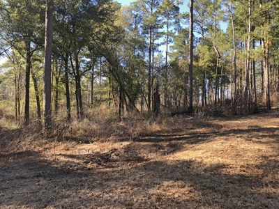 66 Acres Hwy 43 Hunting Land, Home Site for Sale South MS - image 17