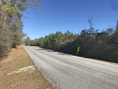 66 Acres Hwy 43 Hunting Land, Home Site for Sale South MS - image 18
