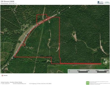 66 Acres Hwy 43 Hunting Land, Home Site for Sale South MS - image 10