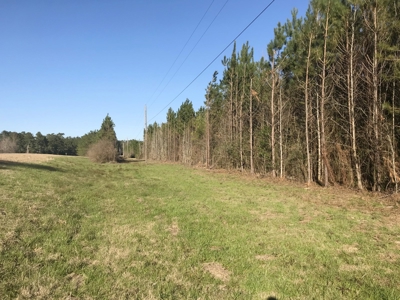 66 Acres Hwy 43 Hunting Land, Home Site for Sale South MS - image 20