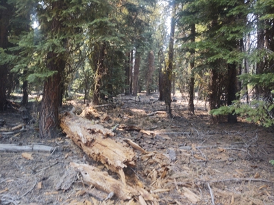 Ozite Rd. Hill Unit 3 Alturas, California 96101 - image 18