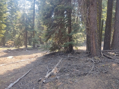 Ozite Rd. Hill Unit 3 Alturas, California 96101 - image 14