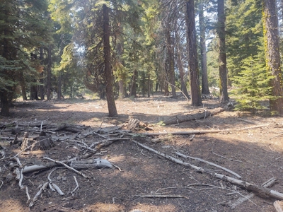Ozite Rd. Hill Unit 3 Alturas, California 96101 - image 12