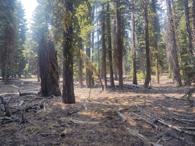 Ozite Rd. Hill Unit 3 Alturas, California 96101 - image 16