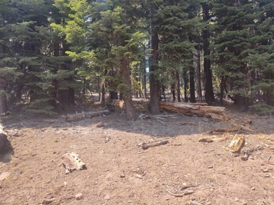 Ozite Rd. Hill Unit 3 Alturas, California 96101 - image 3