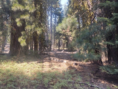 Ozite Rd. Hill Unit 3 Alturas, California 96101 - image 7