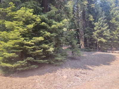 Ozite Rd. Hill Unit 3 Alturas, California 96101 - image 4
