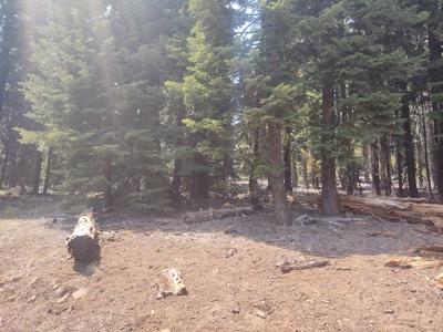 Ozite Rd. Hill Unit 3 Alturas, California 96101 - image 19
