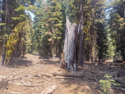 Ozite Rd. Hill Unit 3 Alturas, California 96101 - image 1