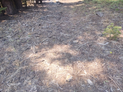 Ozite Rd. Hill Unit 3 Alturas, California 96101 - image 6