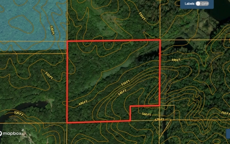 Hunting Land For Sale Bordering Interlake SRA in So. Indiana - image 2