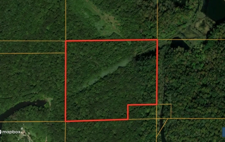 Hunting Land For Sale Bordering Interlake SRA in So. Indiana - image 1