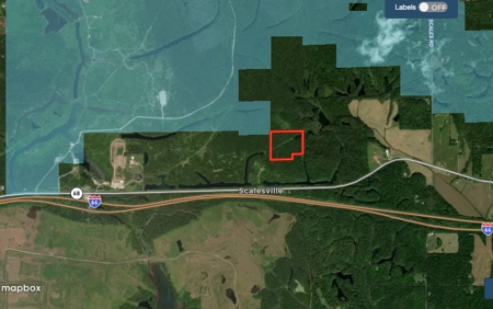 Hunting Land For Sale Bordering Interlake SRA in So. Indiana - image 3