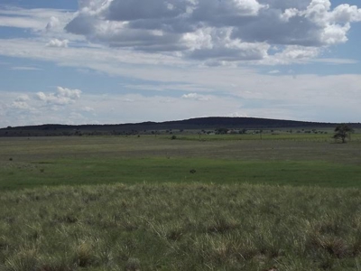 Investment Opportunity Near Moriarty and Edgewood, NM - image 4