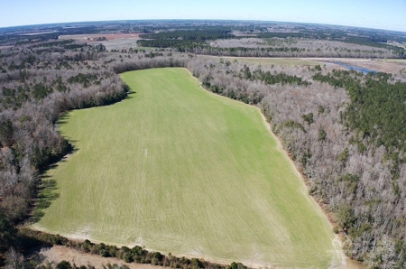 Brunson Farming & Hunting Land - image 1
