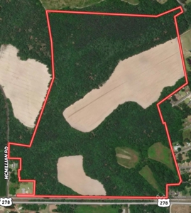 Brunson Farming & Hunting Land - image 13