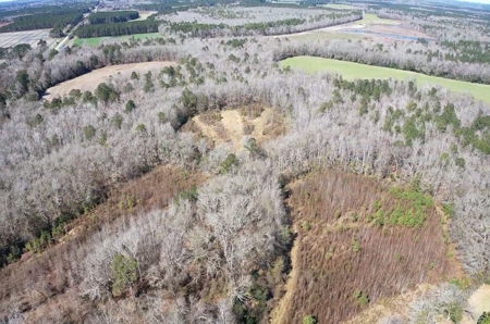 Brunson Farming & Hunting Land - image 39