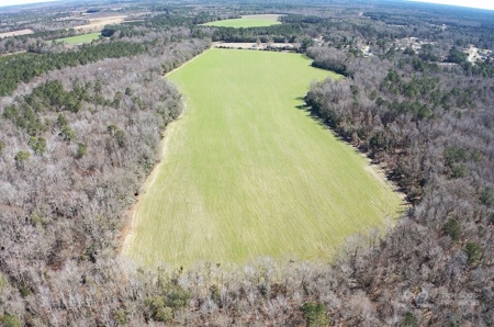 Brunson Farming & Hunting Land - image 16