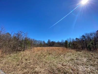 Brunson Farming & Hunting Land - image 42