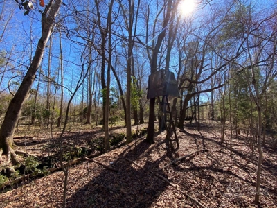 Brunson Farming & Hunting Land - image 45