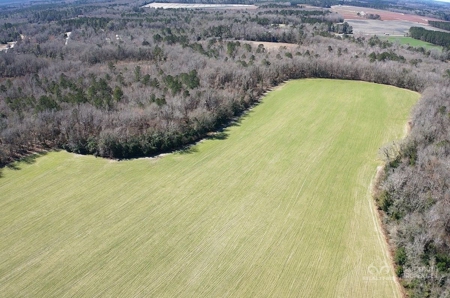 Brunson Farming & Hunting Land - image 25