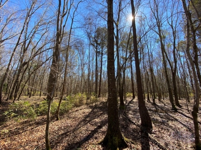 Brunson Farming & Hunting Land - image 41