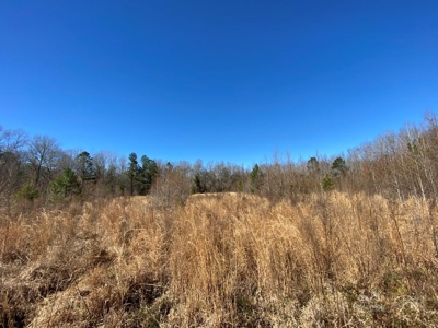 Brunson Farming & Hunting Land - image 43