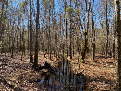 Brunson Farming & Hunting Land - image 28