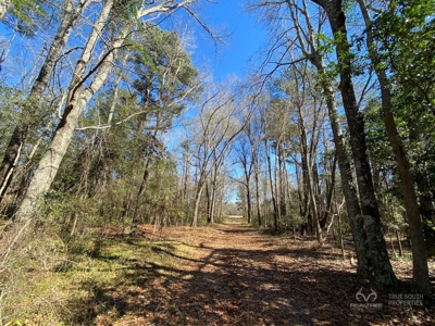 Brunson Farming & Hunting Land - image 49