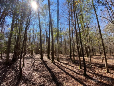 Brunson Farming & Hunting Land - image 33