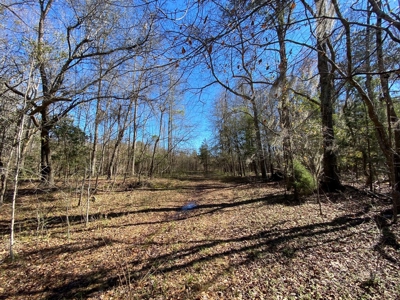 Brunson Farming & Hunting Land - image 44