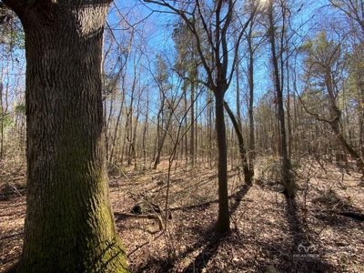Brunson Farming & Hunting Land - image 46