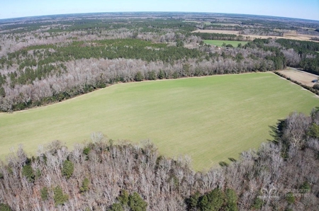 Brunson Farming & Hunting Land - image 40