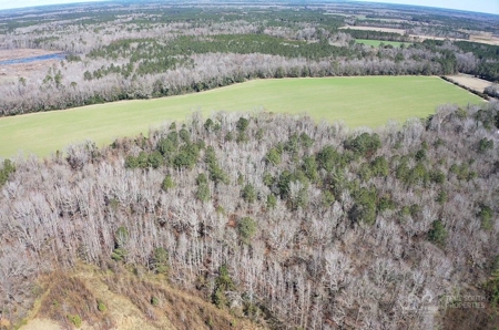Brunson Farming & Hunting Land - image 22
