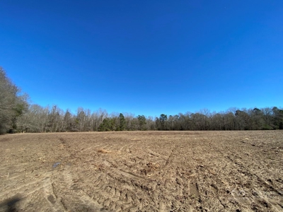 Brunson Farming & Hunting Land - image 48