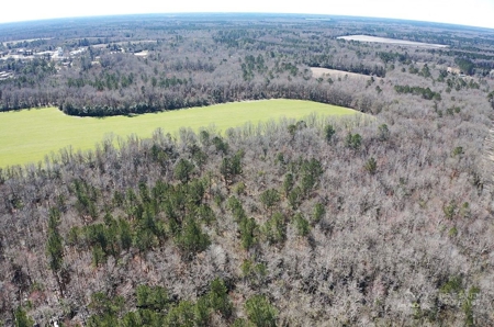Brunson Farming & Hunting Land - image 23