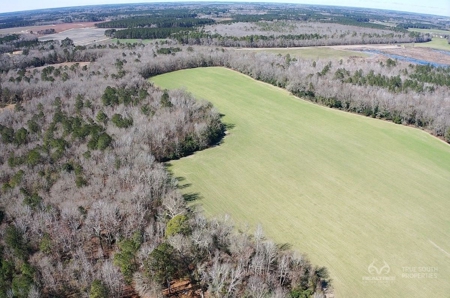Brunson Farming & Hunting Land - image 37