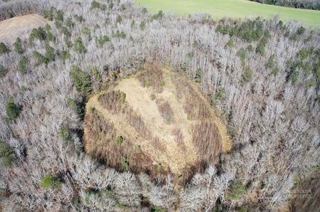 Brunson Farming & Hunting Land - image 20