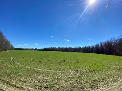 Brunson Farming & Hunting Land - image 27