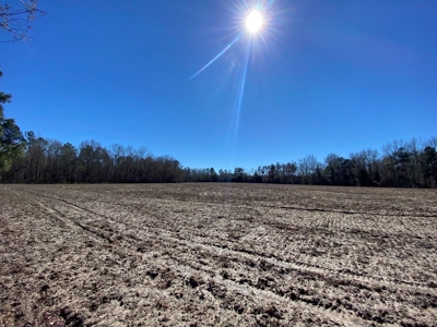 Brunson Farming & Hunting Land - image 15