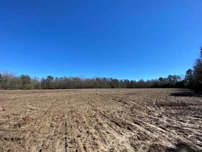 Brunson Farming & Hunting Land - image 47