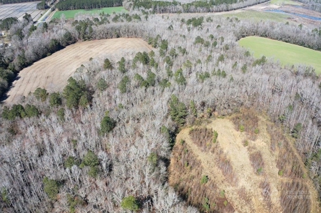 Brunson Farming & Hunting Land - image 21