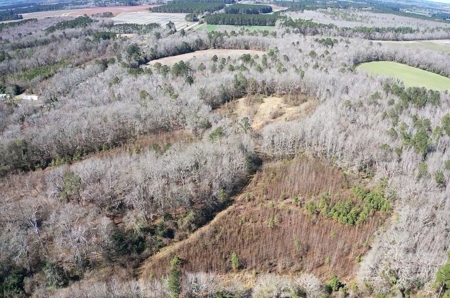 Brunson Farming & Hunting Land - image 38