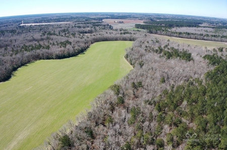 Brunson Farming & Hunting Land - image 36