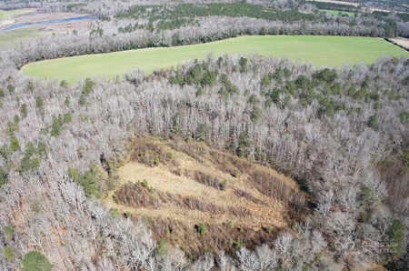 Brunson Farming & Hunting Land - image 19